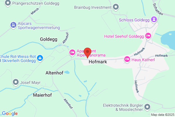 Billardverein Goldegg