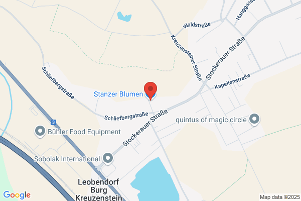 Stanzer Blumen