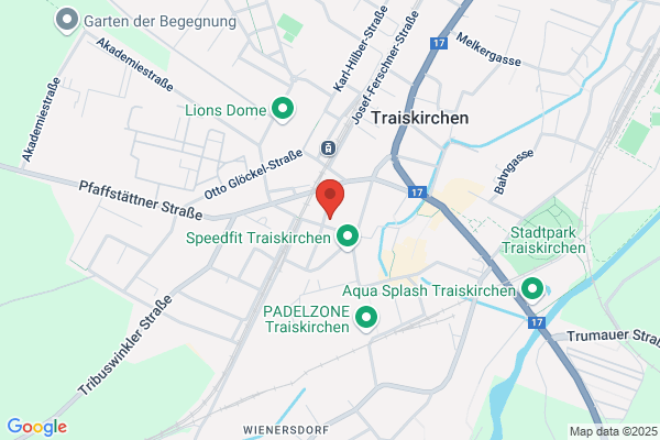 IssP Internet-Solutions, Szongott und Pert OEG