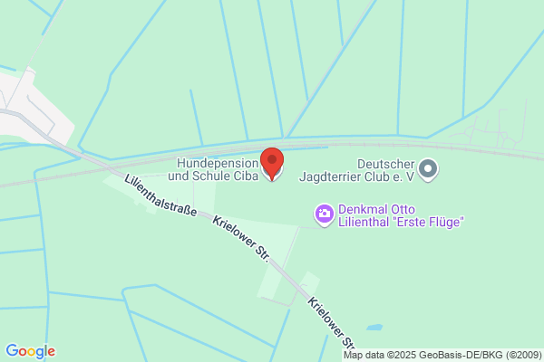 HUNDEPENSION - KEINE ZWINGER