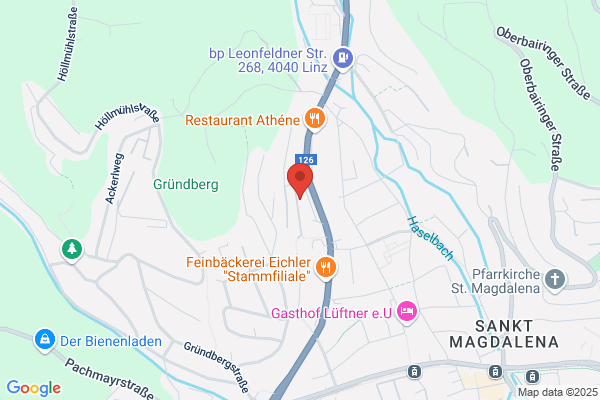 SV ESG Linz Kurt Ganglmair