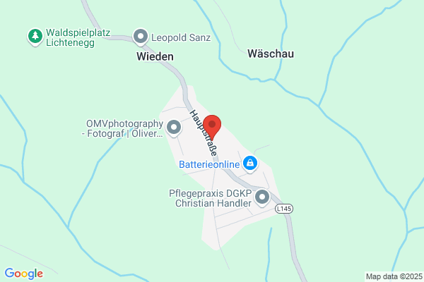 Willibald Handler