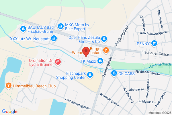 Reiter Betten und Vorhaenge Ges.m.b.H. und Co KG Filiale 2700 Wr. Neustadt (301445388)