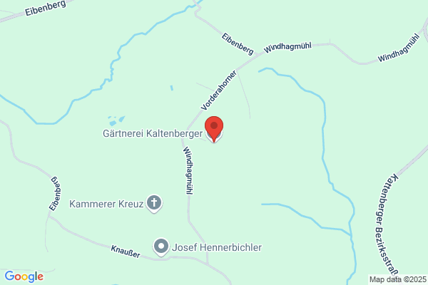 Franz Kaltenberger