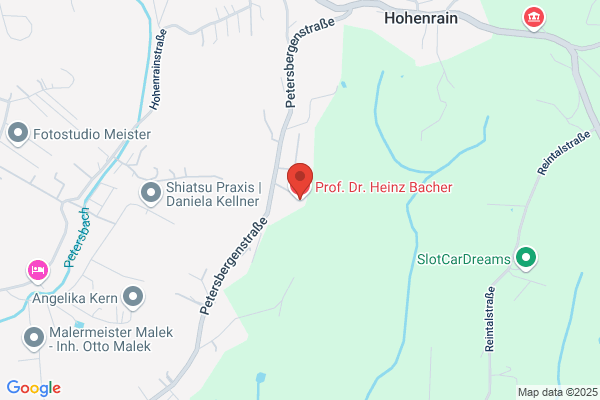 Prof. Dr. Heinz Brantner