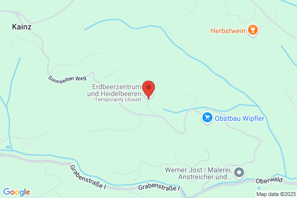 Erdbeerzentrum Alois Trolp