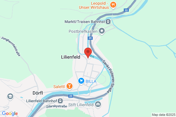 Sozialdemokratische Partei Oesterreichs