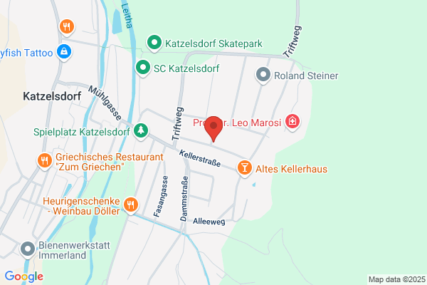 Artner Karl Kleintransporte