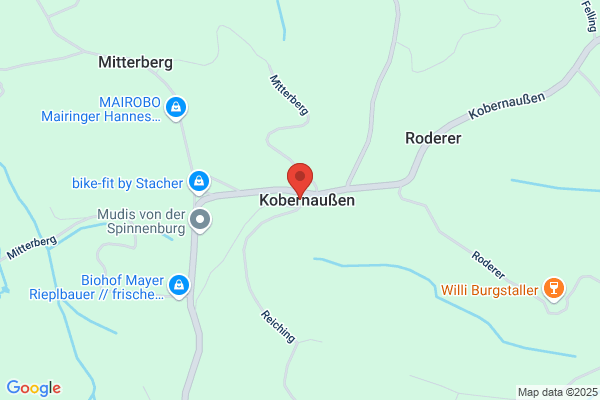 Burgtaverne Kobernaußen