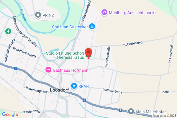Studio Fit und Schoen - Theresia Kraus