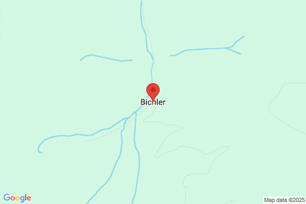 Christian Bichler