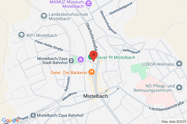 Bezirkshauptmannschaft Bezirksfuersorgeamt