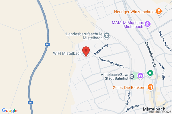 WIFI Wirtschaftsfoerderungs- institut d. Wirtschaftskammer Niederoesterreich