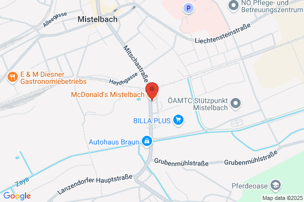 Mc Donald's Restaurant