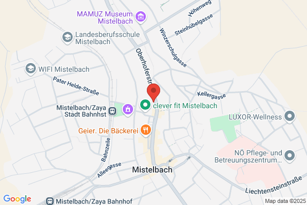 Hansaton Akustische Geraete GmbH