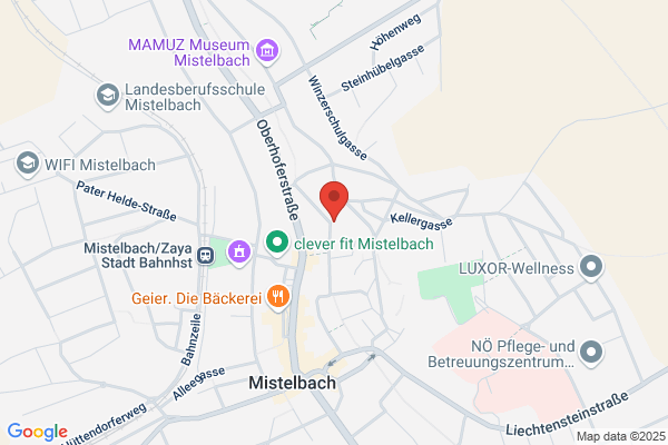 Stummer Textilreinigung GesmbH