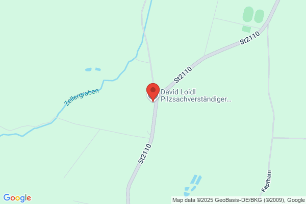 Irmgard Pilz-Golser