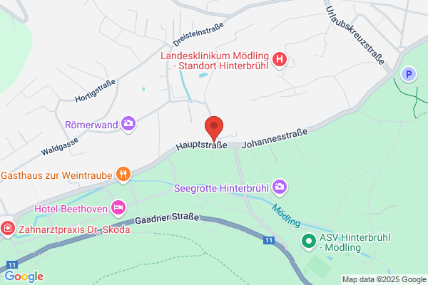 Apotheke Zur heiligen Dreifaltigkeit Mag pharm Karoline Tropper KG