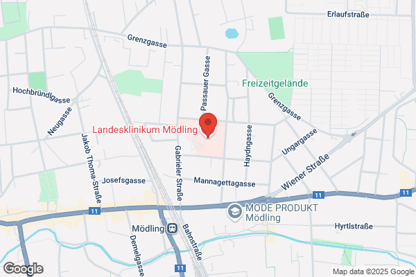 Dr. Elisabeth Hoffmann A.oe. NOe Landeskrankenhaus Roentgen