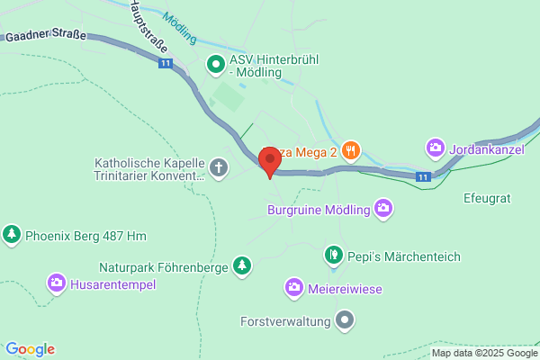 FALCON MEDICAL Medizinische Spezialprodukte GmbH