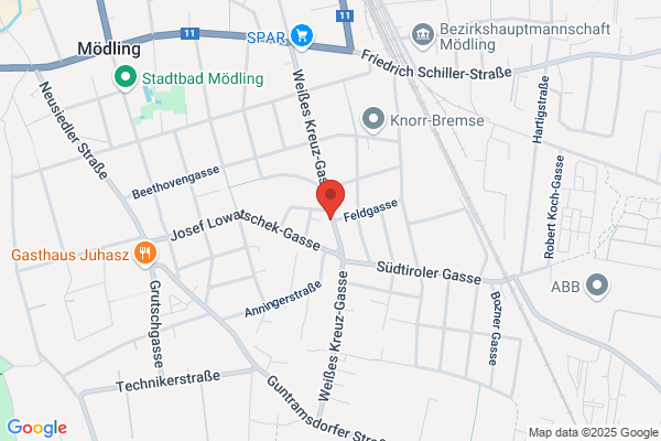 Ing. Erich Rafetzeder