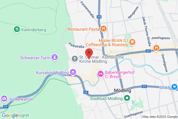 Mag. DDr.  Fürst-Pfeifer