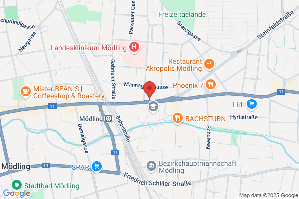 Schnitzleria
