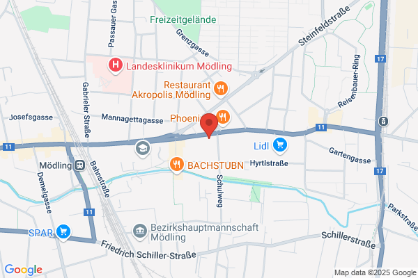 Taxi Neisser