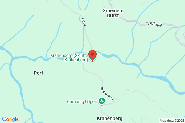 Reinhold Walser, Sibratsgfaeller Schilift KG, Sibratsgfaell