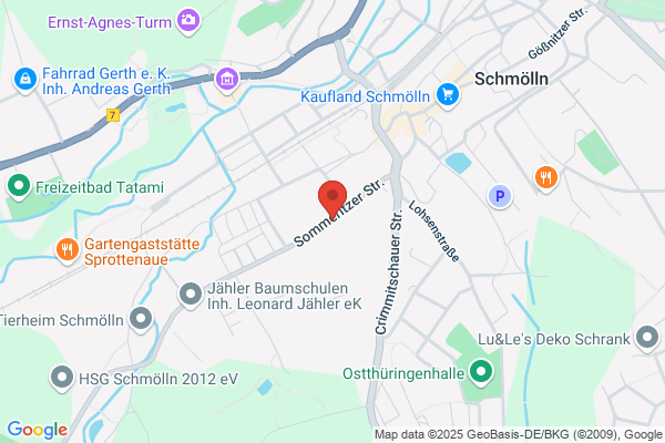 Wittmann Gesellschaft m.b.H.