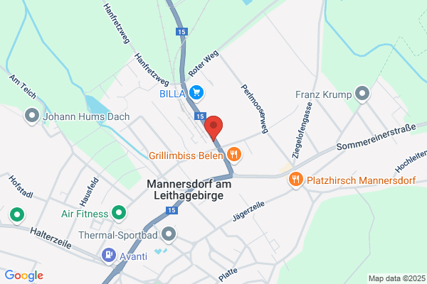 RICHTER und RICHTER OEG