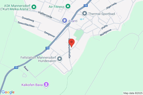 Radinger und Radinger OEG