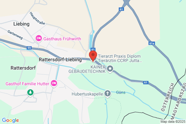 Tierarzt Praxis Diplom Tierärztin CCRP Jutta Schlapschy