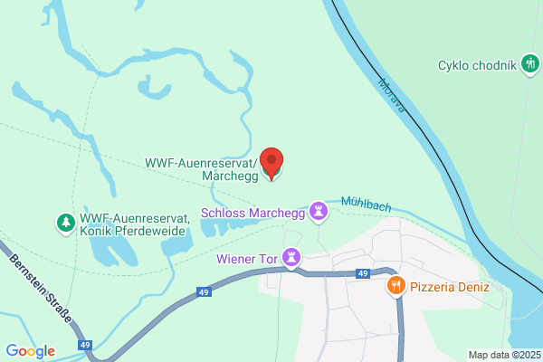 Naturreservat Marchauen