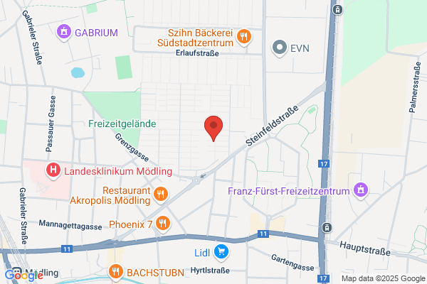 Schloess Erich BR hc DI Dr techn