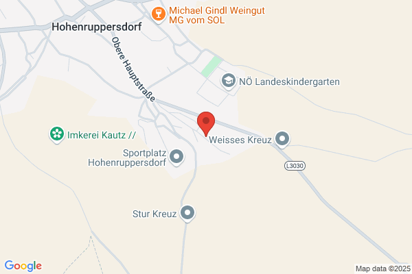 WIP Wohlfahrt International und Partner Sportmanagement GmbH