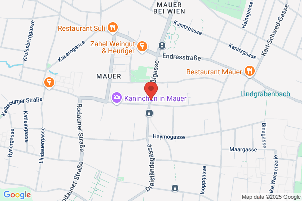 Friseur David