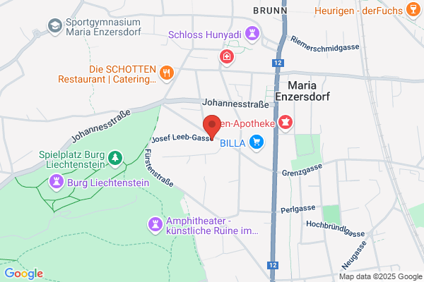 Industrierepraesentanz Dipl-Ing Leo Karl