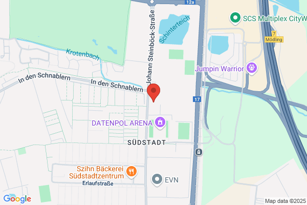 Union Hypo Niederoesterreich Damenhandballclub