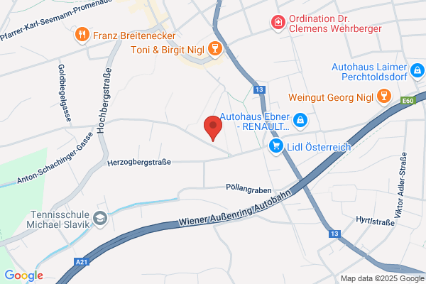 Johanna Hummelberger-Leitner