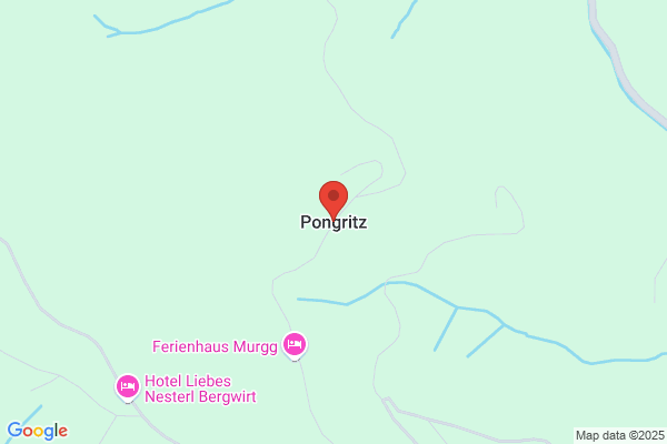 Gerhard Pongritz