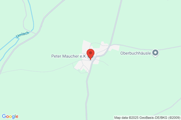 Peter Mauracher