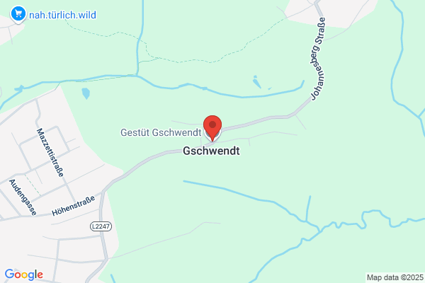 Gestuet Gschwendt