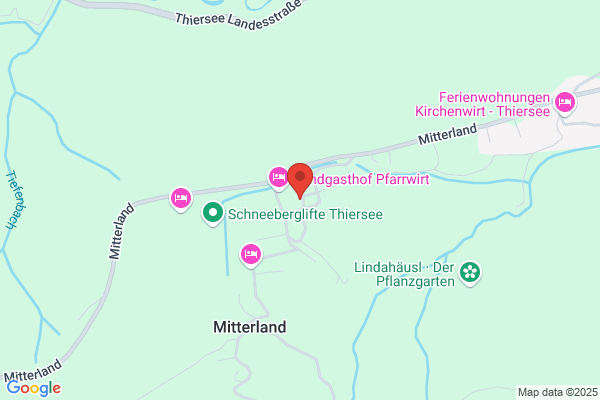 Friedl Fankhauser