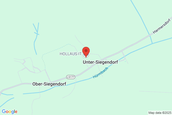 Helga Hollaus