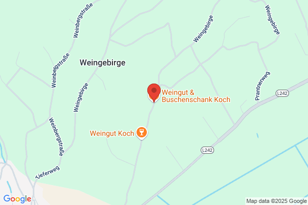 Reinhard Koch