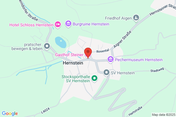 Gasthof Pension Steiner