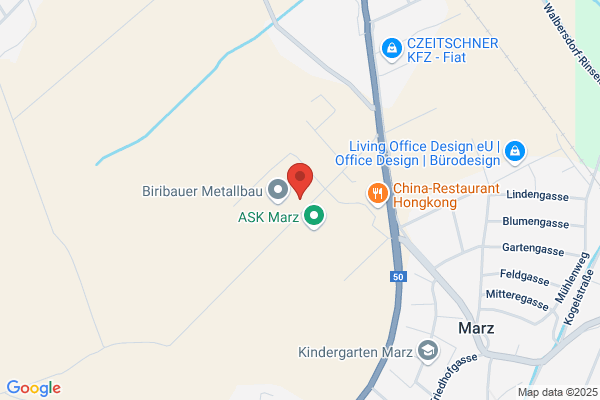 Elektro Buchinger GmbH