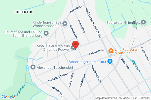 Mamo Baumaschinenverleih- Deichgraeberei