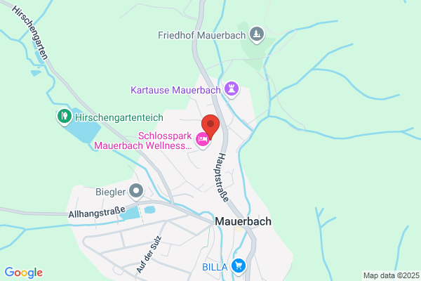 Mesonic Datenverarbeitung GmbH